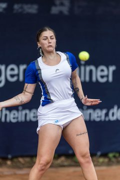 Bild 523 - BL DTV Hannover - BW Dresden Blasewitz : Ergebnis: 2:7